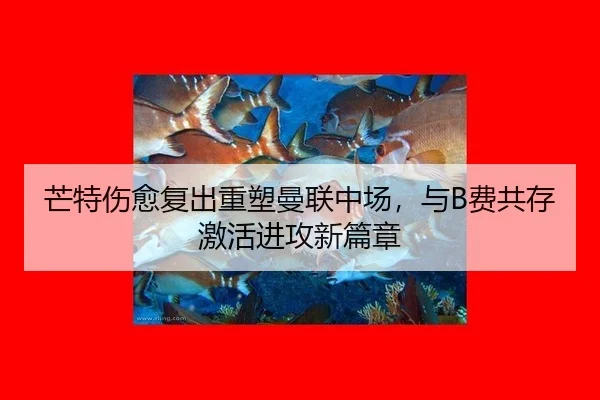 mang-te-shang-yu-fu-chu-zhong-su-man-lian-zhong-chang-yu-fei-gong-cun-ji-huo-jin-gong-xin-pian-zhang-2-858.jpg