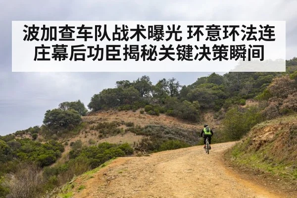 波加查车队战术曝光 环意环法连庄幕后功臣揭秘关键决策瞬间